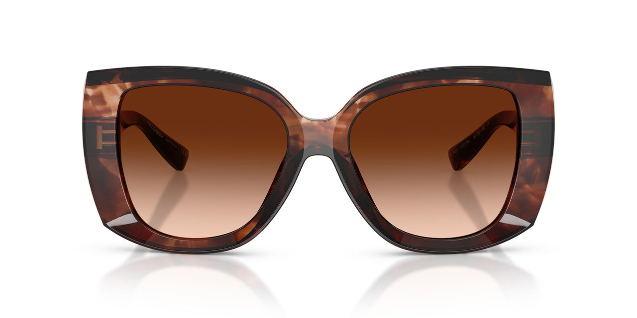 322274 - Red - Brown Gradient