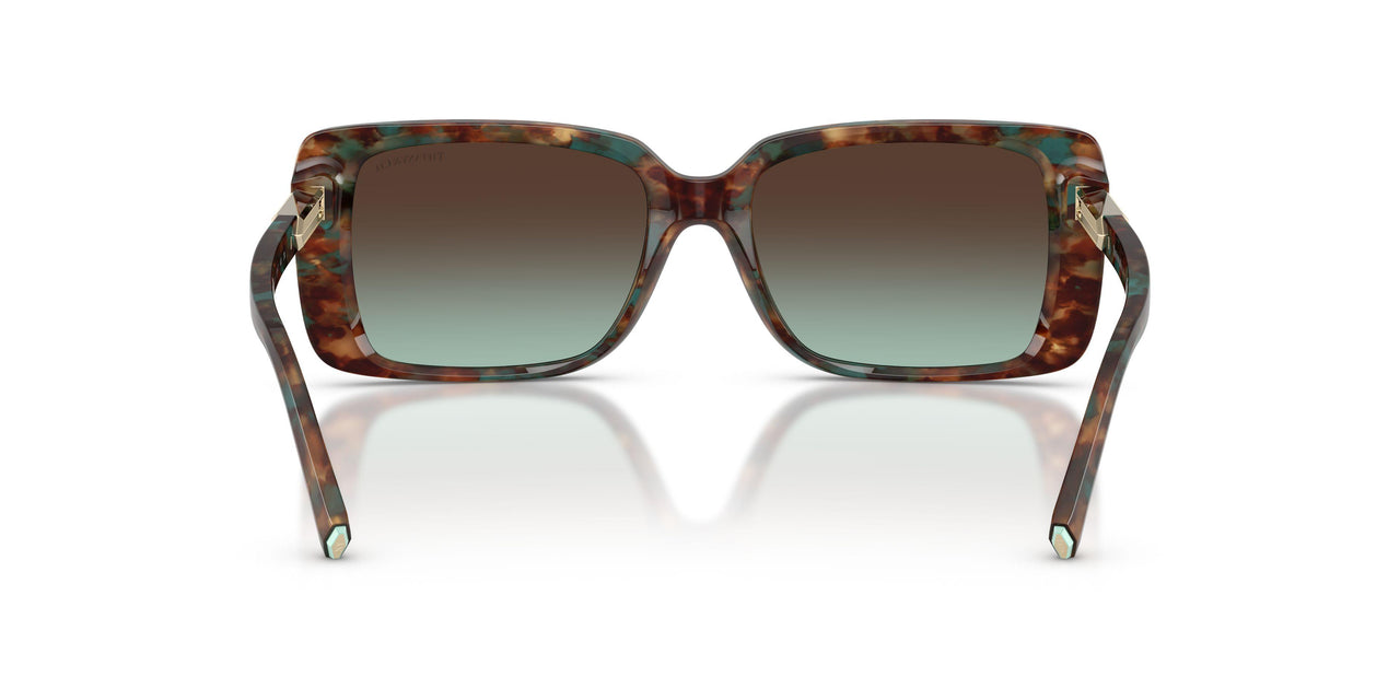 84425D - Tortoise - Azure Gradient Brown