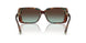 84425D - Tortoise - Azure Gradient Brown