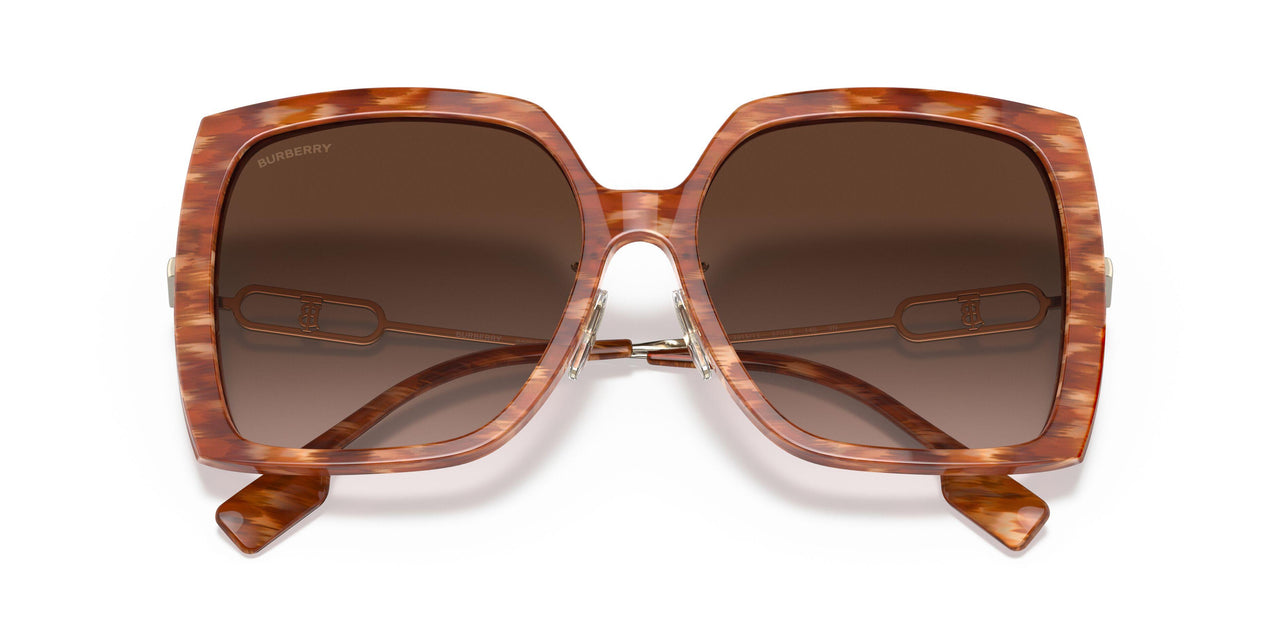 391513 - Brown - Brown Gradient