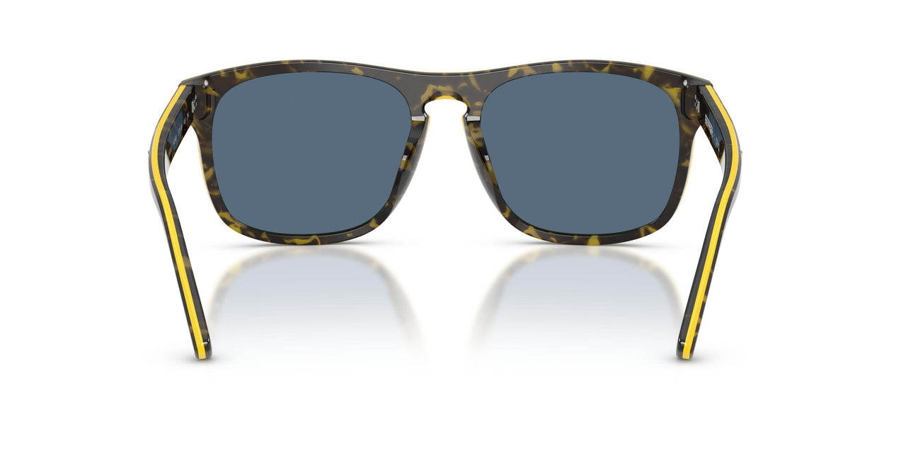 743/80 - Tortoise - Dark Blue