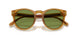 52754E - Tortoise - Solid Green