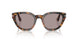 105253 - Tortoise - Violet