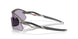949509 - Grey - Prizm Slate