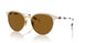 996S83 - Brown - Dark Brown Polarized
