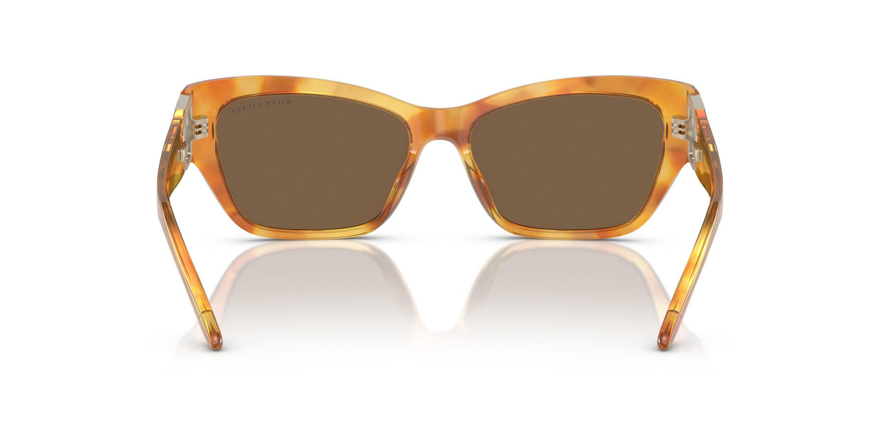 605173 - Tortoise - Brown