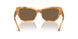 605173 - Tortoise - Brown