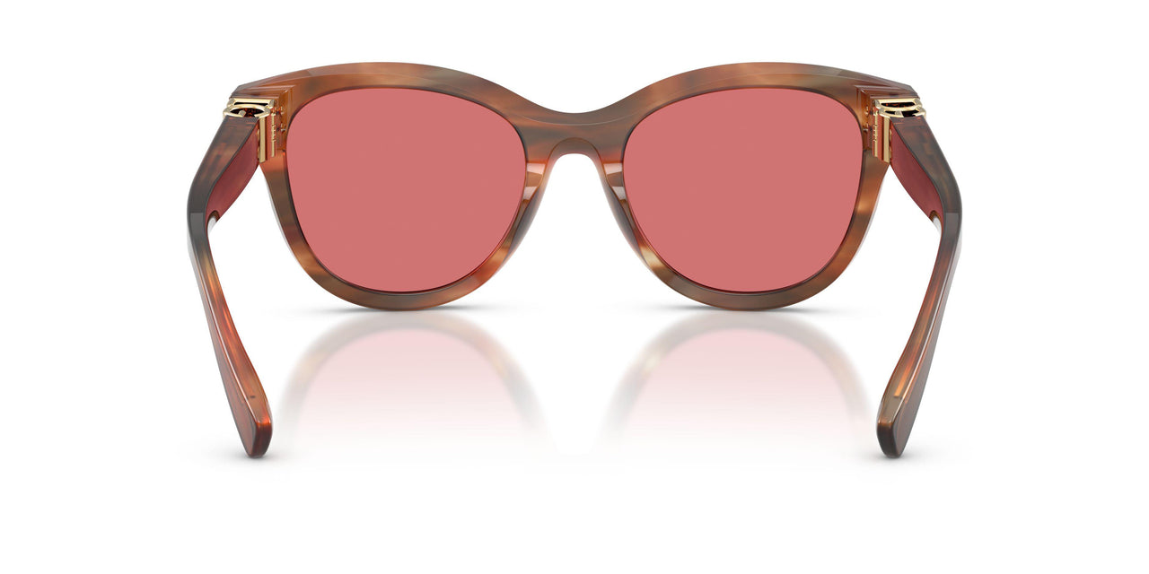 322175 - Tortoise - Red