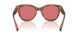 322175 - Tortoise - Red