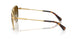 4037T5 - Gold - Gradient Brown Polar