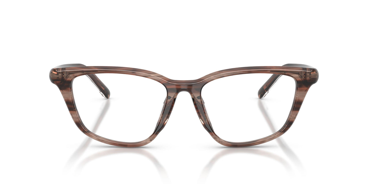 2036 - Brown