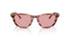 203684 - Brown - Light Violet