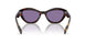 17N50B - Tortoise - Violet Mirror Internal Silver