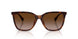 614913 - Tortoise - Brown Gradient