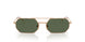 51529A - Gold - Dark Green Polar
