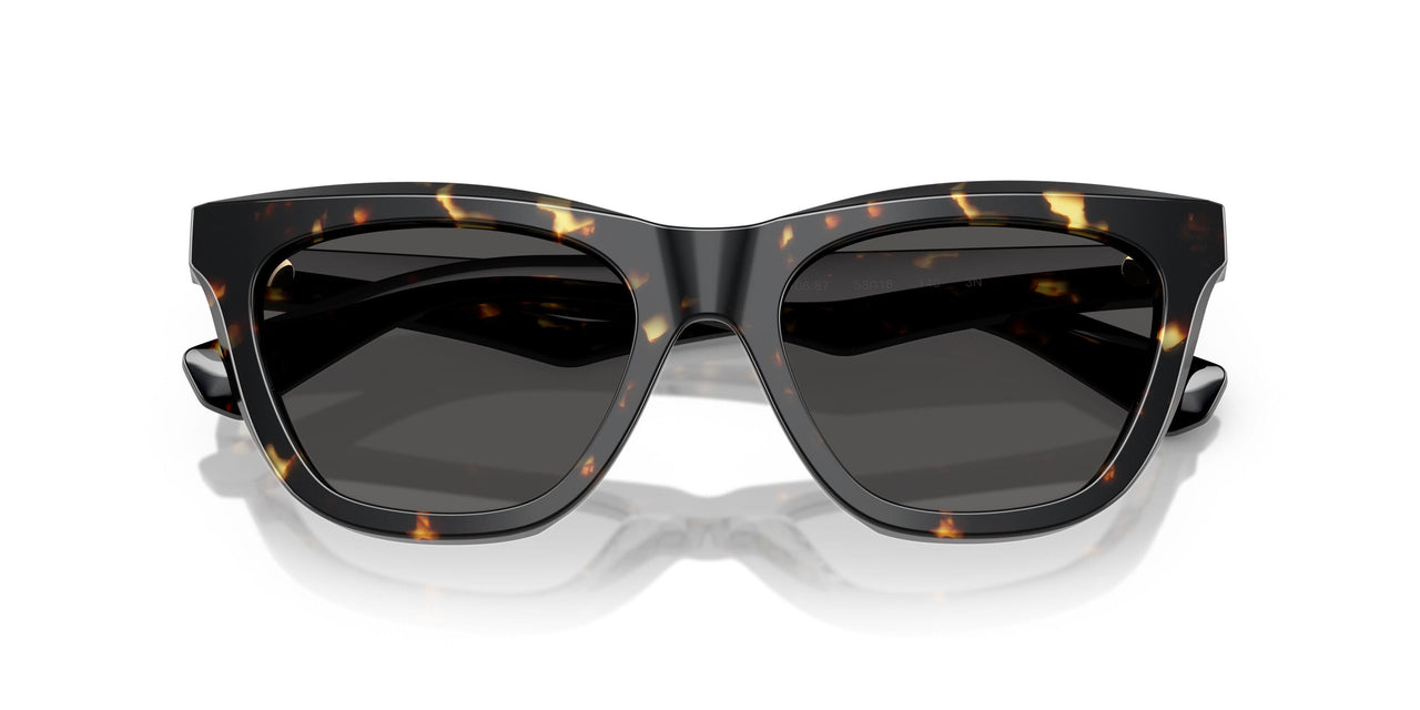 410687 - Tortoise - Dark Grey
