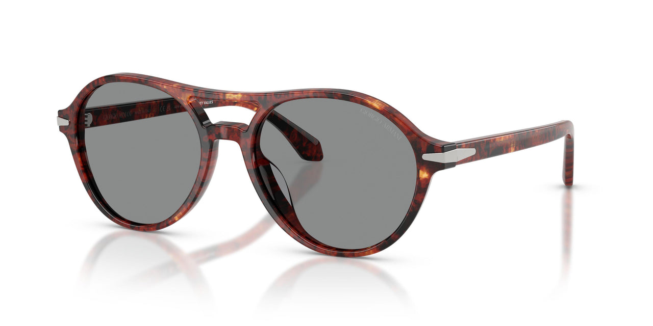 623402 - Tortoise - Blue