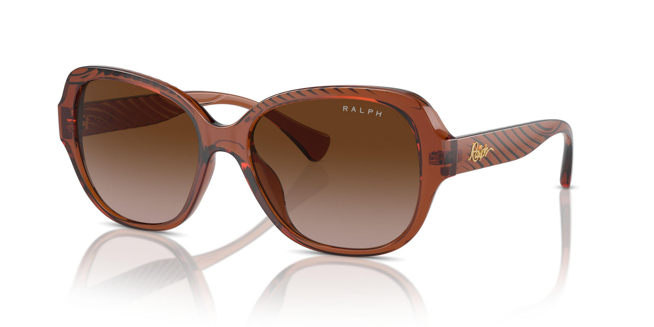 614913 - Brown - Gradient Brown
