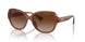 614913 - Brown - Gradient Brown