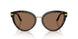 321713 - Tortoise - Dark Brown