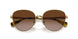 900413 - Gold - Gradient Brown