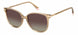 Polaroid Core PLD4170 Sunglasses