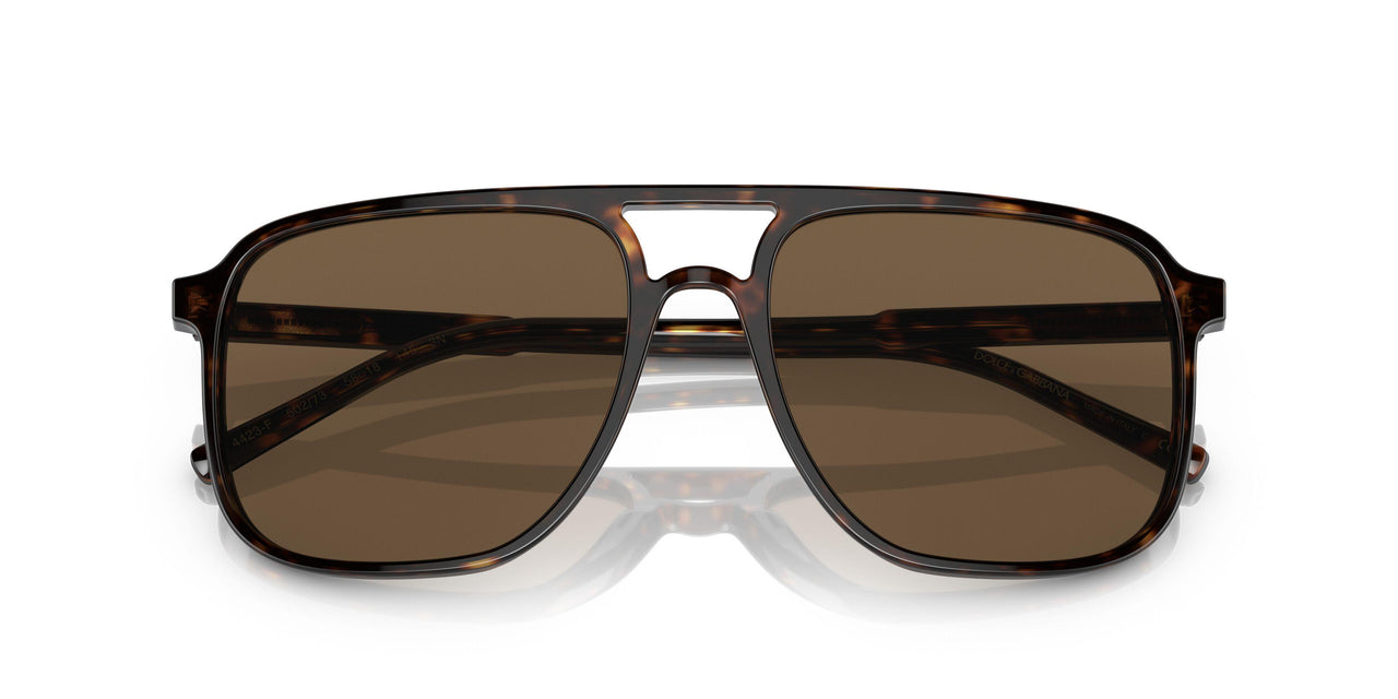 502/73 - Havana - Dark Brown