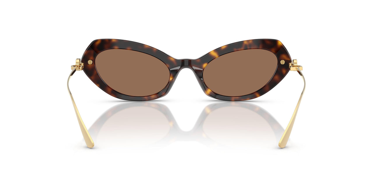 502/73 - Tortoise - Dark Brown
