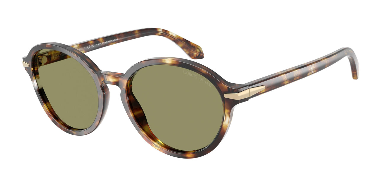 Giorgio Armani 8237 Sunglasses