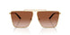 100213 - Gold - Brown Gradient
