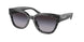 Coach Cl920 8379U Sunglasses