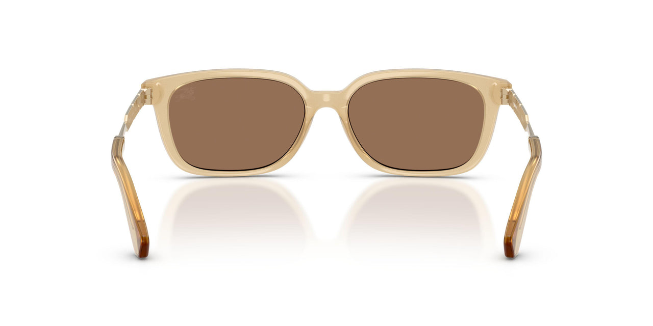 419873 - Yellow - Dark Brown