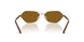 513883 - Brown - Dark Brown Polar