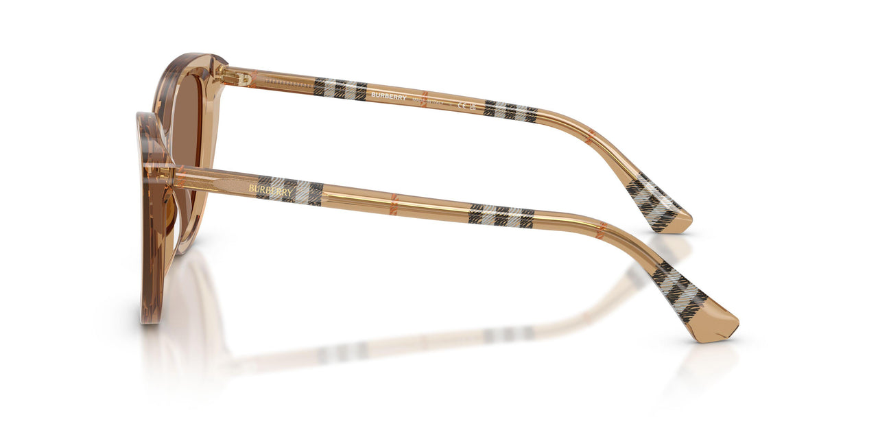 416473 - Beige - Dark Brown