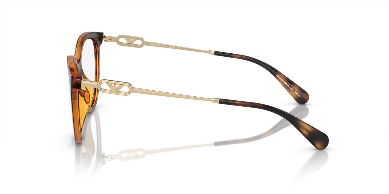 50261W - Tortoise - Clear