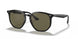 601/9A - Black - Polar Green