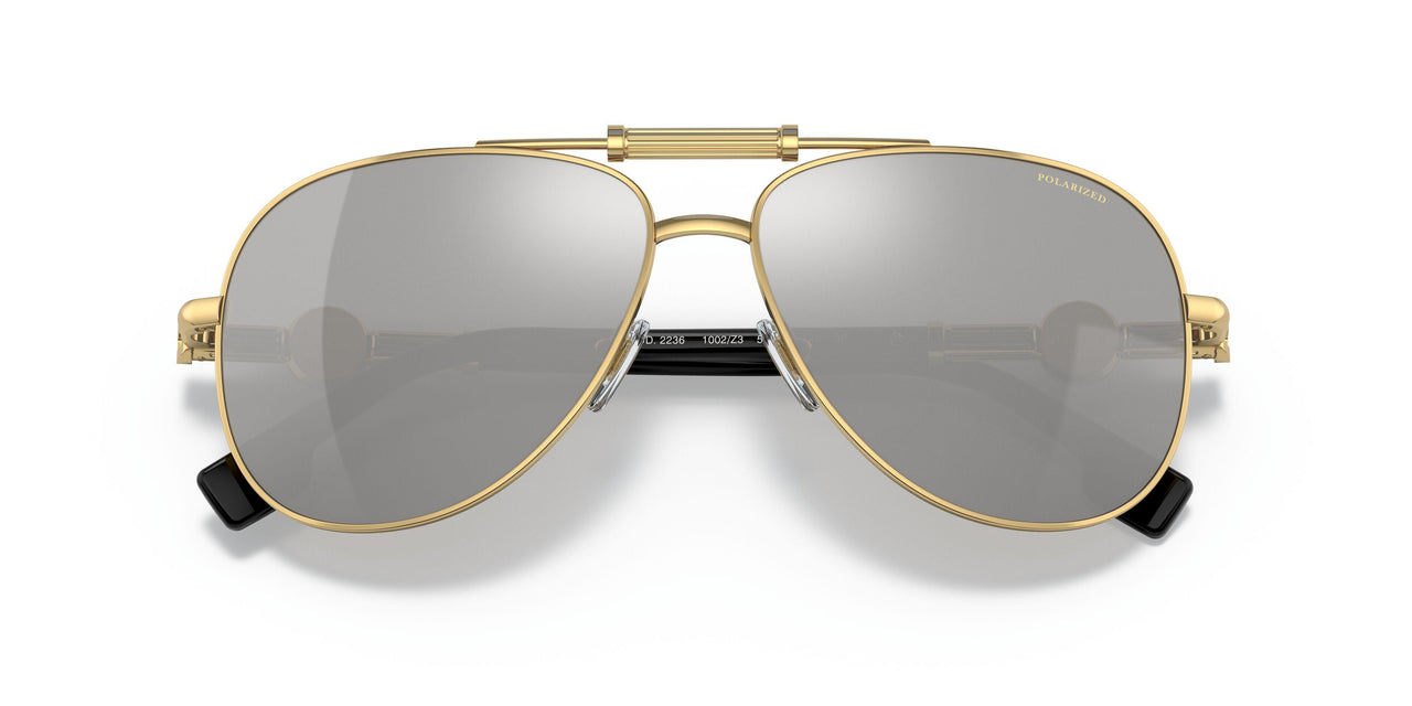 1002Z3 - Gold - Polar Grey Mirror Silver