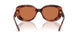 577473 - Tortoise - Brown Solid