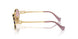 5AK06S - Gold - Brown Gradient Violet