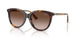 421613 - Brown - Brown Gradient