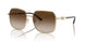 101413 - Gold - Brown Gradient