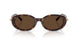 80153G - Tortoise - Light Brown