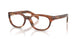 24G1O1 - Brown