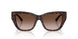 500213 - Tortoise - Gradient Brown