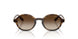 W65613 - Brown - Gradient Brown