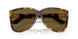 14L09Z - Tortoise - Dark Brown