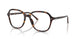 2012 - Tortoise