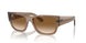 664051 - Beige - Clear & Brown