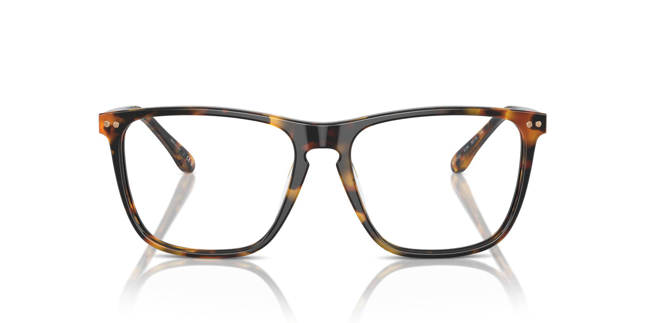 5134 - Tortoise