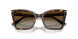 5026T5 - Tortoise - Brown Gradient Polarized